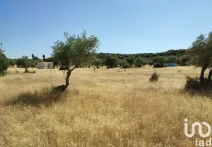 Land at São Brás e São Lourenço