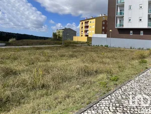 Terrain  à Oliveira do Bairro