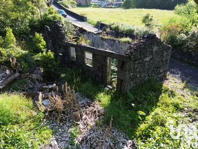 House  in Ribeirinha