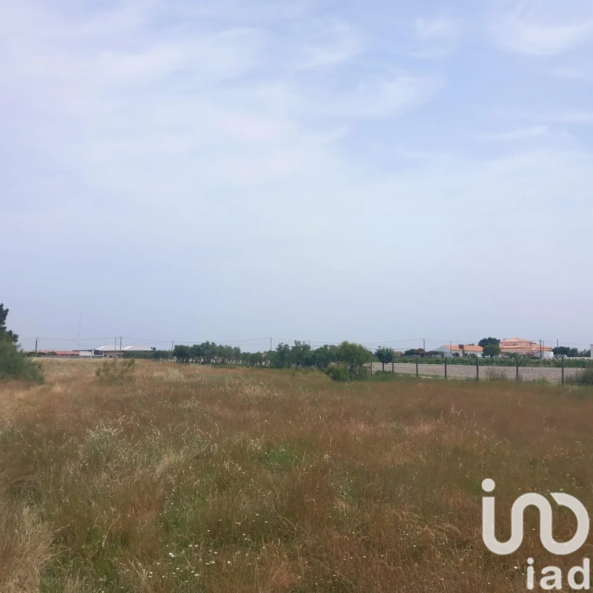 Terreno de 3583 m² em Marinhais