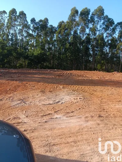 Fotografia 3 de Terreno rústico de 9770 m² em Évora de Alcobaça