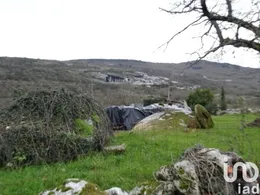 House in Águas Frias