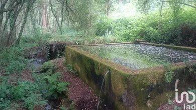 Farm land  at São Julião e Silva