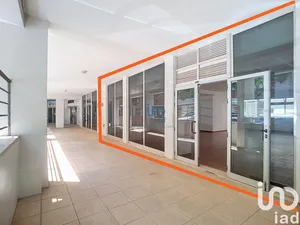 Boutique/Local commercial à Portimão