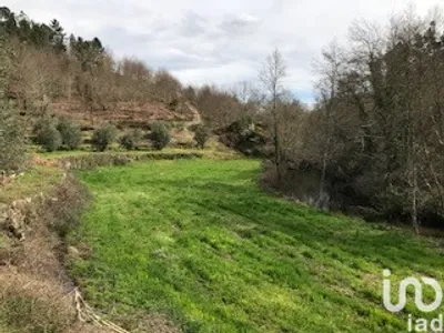 Fotografia 3 de Terreno de 100 000 m² em Parada de Gonta