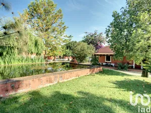 Herdade em São Teotónio