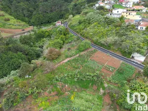 Land  at Arco de São Jorge