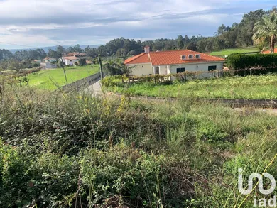 Terrain  à Mujães