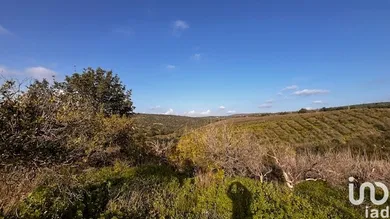 Terrain  à Alte