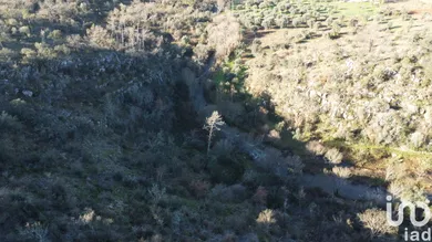 Terreno  em Freixianda, Ribeira do Fárrio e Formigais