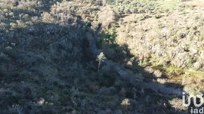 Fotografia 3 de Terreno de 13 073 m² em Freixianda, Ribeira do Fárrio e Formigais