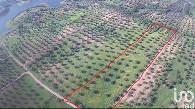 Terreno em Amieira E Alqueva