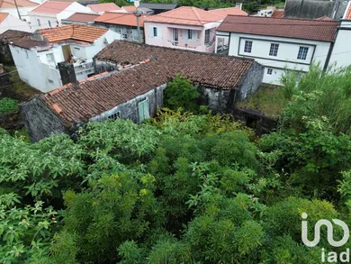 Maison traditionnelle  à Ribeiras