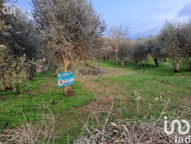 Land  at Lousã e Vilarinho