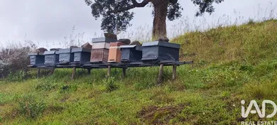 Terreno  em Cerdal