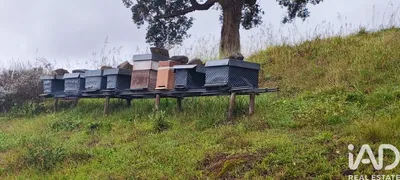 Fotografia 3 de Terreno de 21 000 m² em Cerdal
