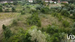 Terreno em Santiago e São Simão de Litém e Albergaria dos Doze