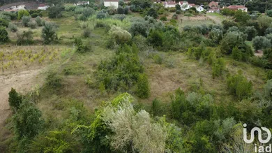 Terrain à Santiago e São Simão de Litém e Albergaria dos Doze