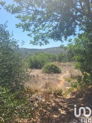 Terreno urbano em Loulé (São Clemente)