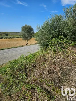 Farm land  at Selmes