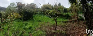 Terreno em Machico