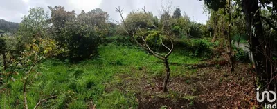 Terreno de 865 m² em Machico