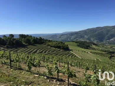 Ferme à Mesão Frio (Santo André)