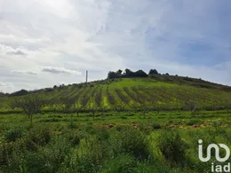 Terrain  à Azueira e Sobral da Abelheira