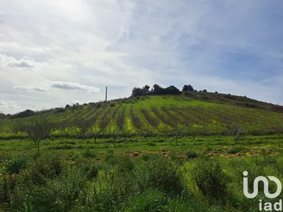 Fotografia 3 de Terreno de 21 437 m² em Azueira e Sobral da Abelheira