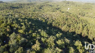 Fotografia 1 de Terreno de 14 600 m² em Chãos