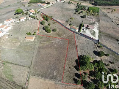 Fotografia 3 de Terreno de 5630 m² em Ramalhal