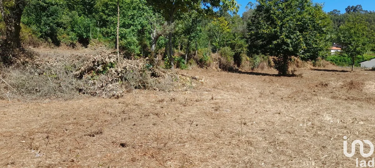 Terreno urbano de 5740 m² em Oliveira