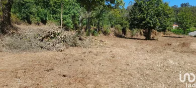 Building plot  at Oliveira