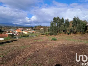 Terreno  em Reboreda e Nogueira
