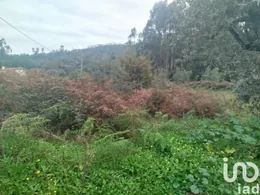 Land in Penacova