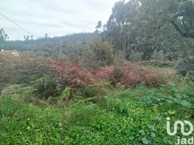 Fotografia 3 de Terreno de 885 m² em Penacova