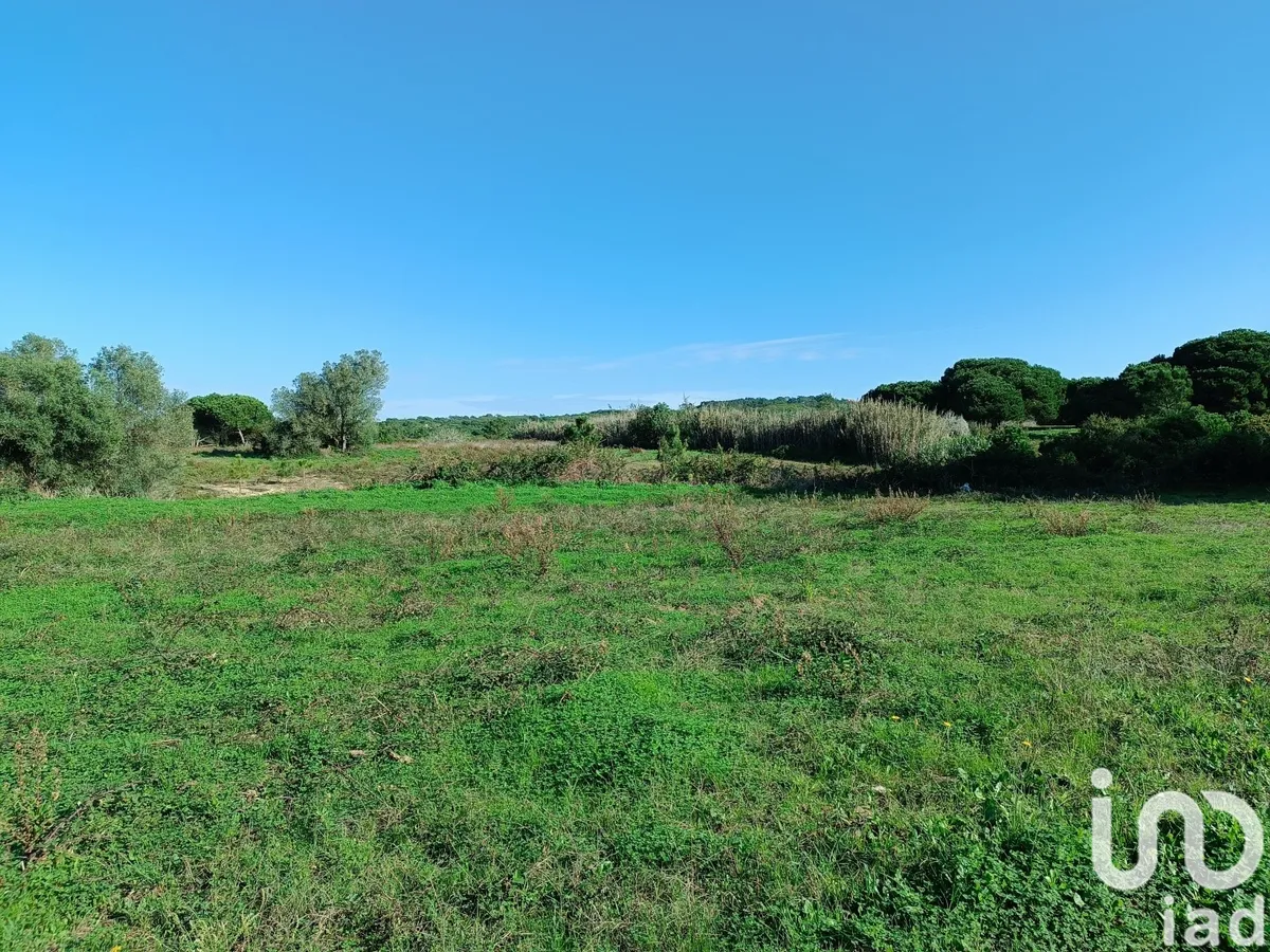 Terreno de 15 600 m² em Sesimbra (Castelo)