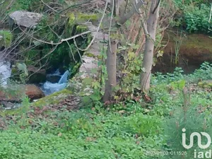 Terrain  à Canas de Senhorim