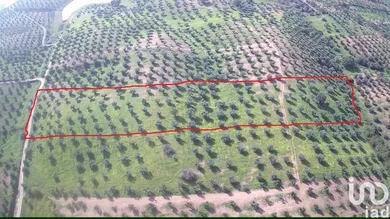 Land  in Amieira E Alqueva