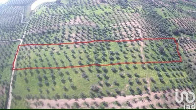 Fotografia 3 de Terreno de 8000 m² em Amieira E Alqueva