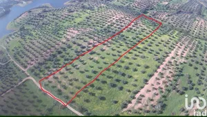 Terreno  em Amieira E Alqueva