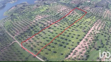 Land  in Amieira E Alqueva