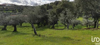 Land  in Aranhas