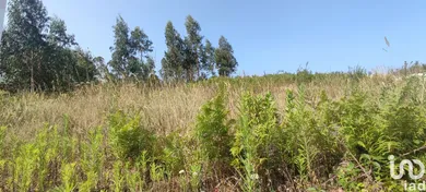 Terrain à batir  à Arrabal