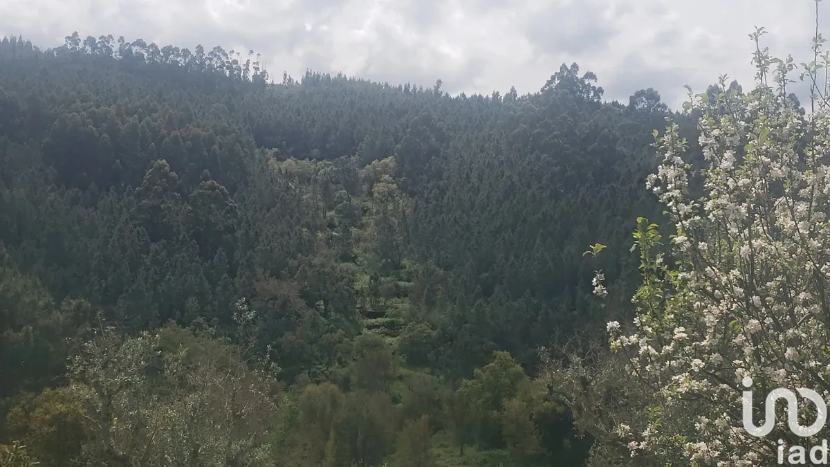 Terreno de 14 450 m² em Cardigos
