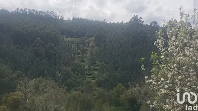 Fotografia 9 de Terreno urbano de 3080 m² em Proença-a-Nova