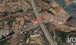 Terreno em Cartaxo e Vale da Pinta