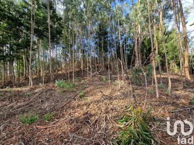 Building plot at Nogueira, Meixedo e Vilar de Murteda