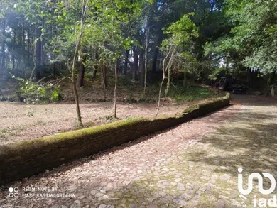 Terreno  em Seixas