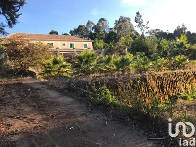 Habitação em São Jorge